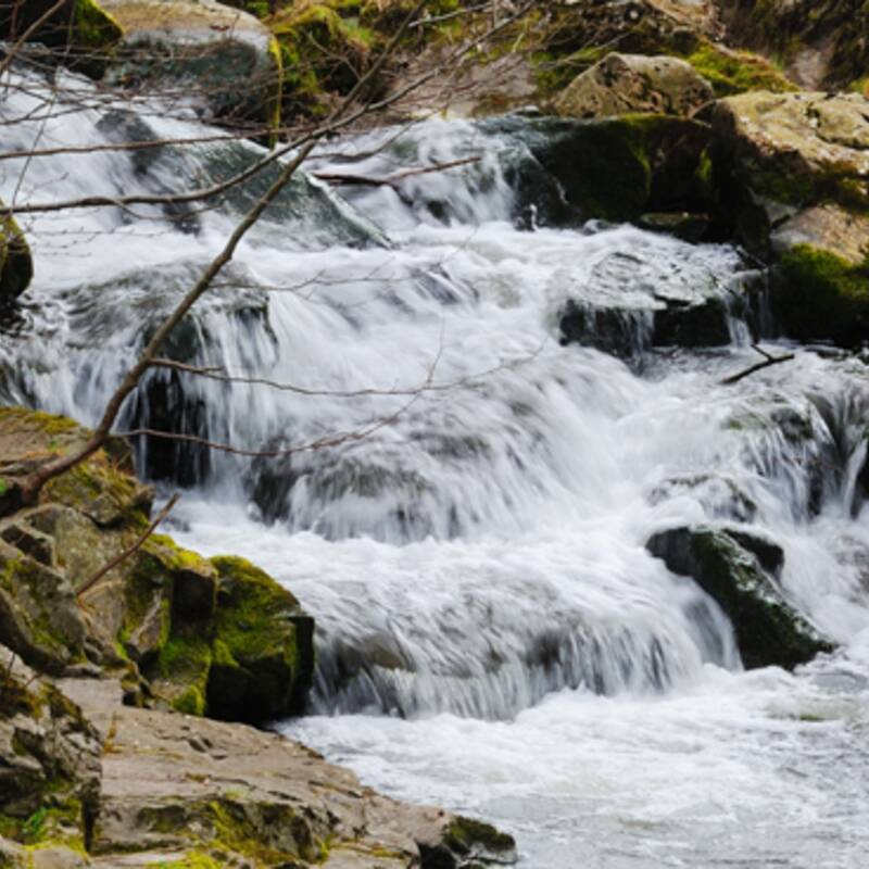 Ein kleiner Wasserfall fließt über moosbedeckte Felsen in einem bewaldeten Gebiet.