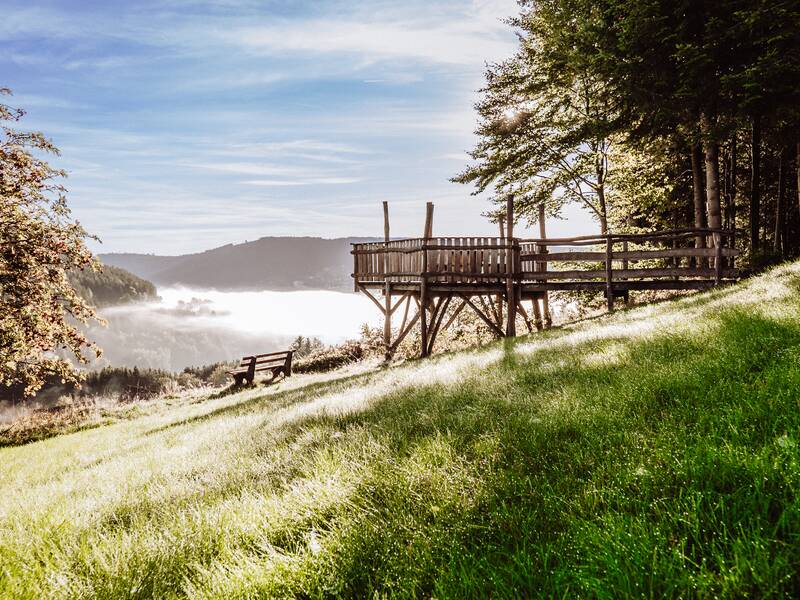Eine hölzerne Aussichtsplattform steht neben einer Bank auf einer grünen Wiese mit Ausblick auf nebelbedeckte Berge und einen Wald.