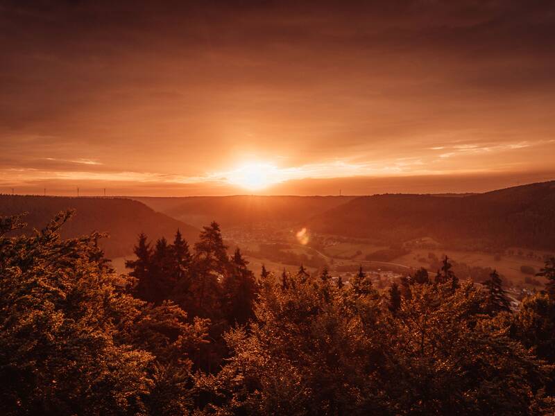 Ein malerischer Sonnenuntergang taucht eine bewaldete Hügellandschaft in warmes, goldenes Licht.