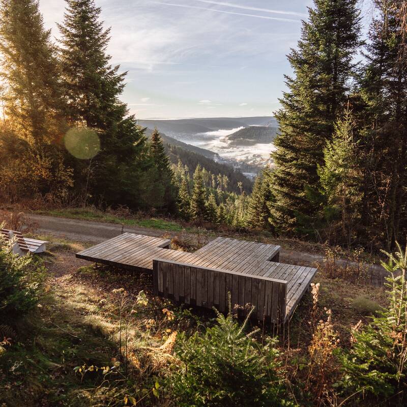 Eine hölzerne Aussichtsplattform steht in einem herbstlichen Wald mit Blick auf ein bewaldetes Tal und Nebel im Hintergrund, während die Sonne sanft durch die Bäume scheint.