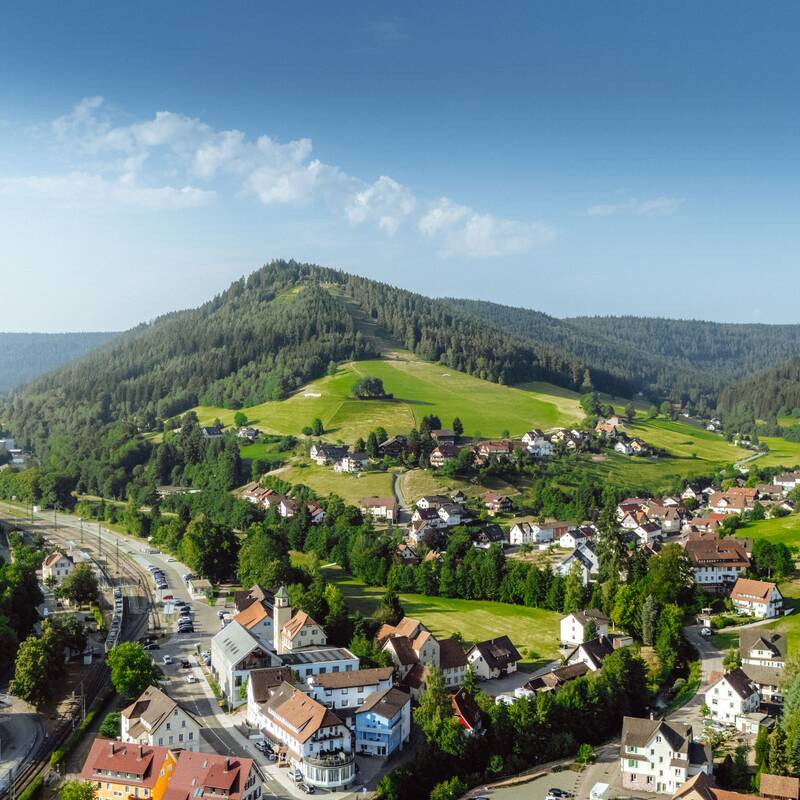 Eine malerische Landschaft mit Hügeln, grünen Wiesen, Wäldern und einem Dorf mit roten Dächern im Vordergrund.