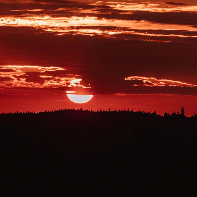 Ein roter Sonnenuntergang zeigt sich hinter einer dunklen Silhouette eines Waldes, mit dramatischen Wolken am Himmel.