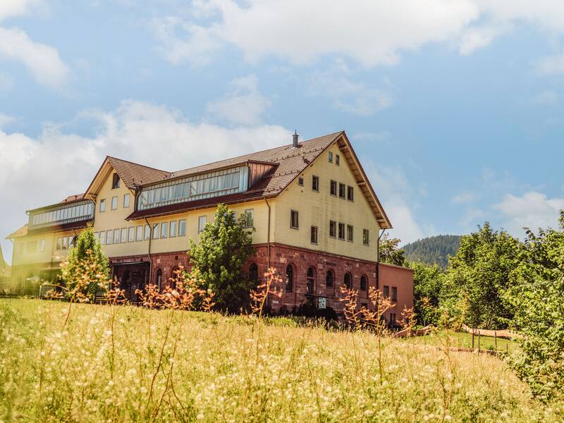 Ein großes, mehrstöckiges Gebäude mit rotem Klinkersockel und hellem Anstrich steht in einer grünen, sonnenbeschienenen Landschaft unter einem blauen Himmel.
