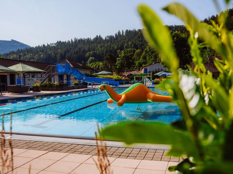 Ein Schwimmbad im Freien mit einer großen aufblasbaren Dinosaurierfigur auf dem Wasser und einem bewaldeten Hügel im Hintergrund.